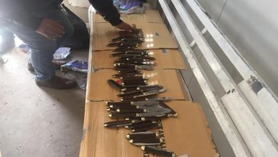 22201911171350929536 1020552344795697 8228220946071158784 n