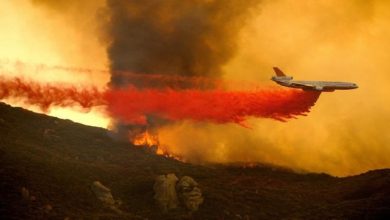 4919B004 B61C 4DF3 970C AF1542A426C2