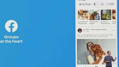 533244 image qw vb 1