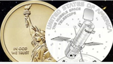 7412020 582C79A3 5704 4B79 A940 CC314490CD68