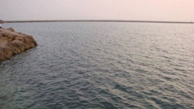 اعلان بحيرات ومواقع عراقية من بينها بحيرة ’’ساوة’’ محميات طبيعية 6 Capture 1