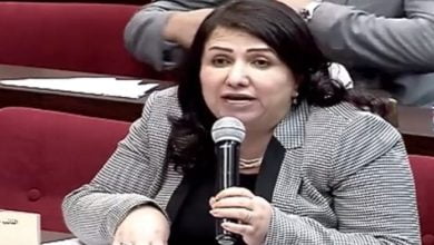 بهار محمود نائبة