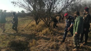 حشد واتحادية