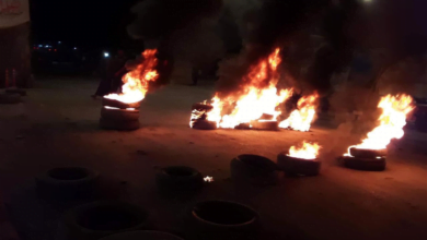 متظاهرو الديوانية 2 1