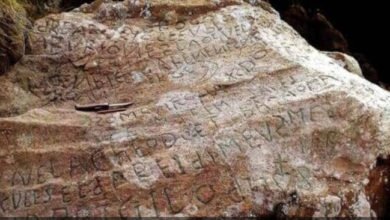 136F87CD 6788 4E43 9226 A5859143F162