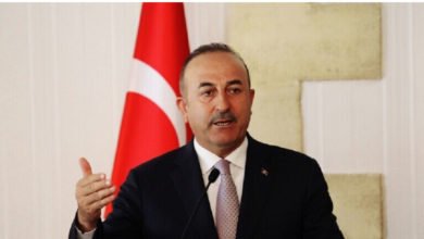 164CD048 5164 4977 892E F7B304D39FDE