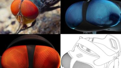 1A917F92 EFAD 46D7 A536 99B426370937