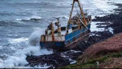 1B487862 D972 405A BB91 8D1EA3B9AD2B