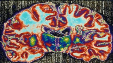 29B636B7 ECA4 4892 B064 3E0F1E94814E