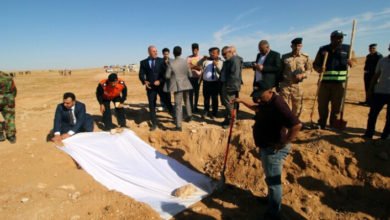 3D5E8679 D3F4 4377 BFE6 174D3D16C670