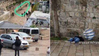 3F5D5A5D 24B5 430D BB1E BC0090D24F4F