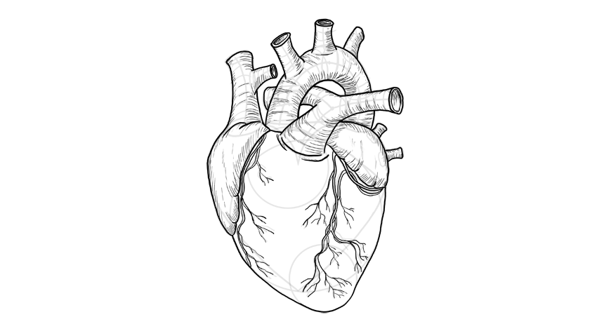 اعراض حدوث النوبة القلبية 1 41EBF363 6FF5 4521 8EA9 75851E61E84B