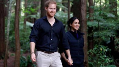 4D4D5F82 C0F9 4540 925D BD46E1C9BA1A