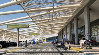 538EBF19 402B 4C24 BACE 019389C2F504