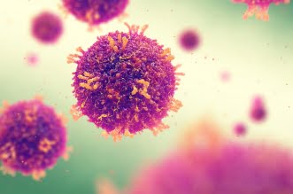 56C7C69A 7F7B 4B94 B4E9 CB82FADCEB26