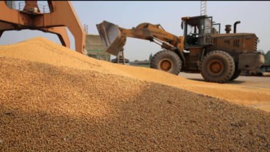 5AE695F5 D897 44B5 90FF 97DA5F189257