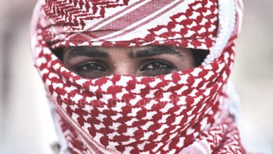 5FF80187 714B 494A B976 8384C5FAECE5