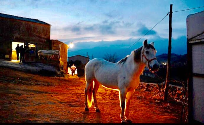 الشرطةالاسبانية: تكتشف أول مصنع سري من نوعه للسجائر في الاتحاد الأوربي 1 6D0095E0 C4E4 4AF7 B5BD E5AAD50B2A9C