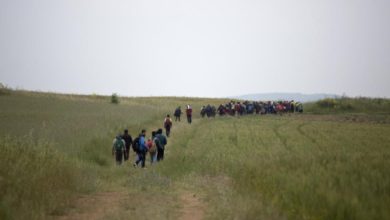 6D9059ED 2424 41A8 96AC E54D450CDA2F