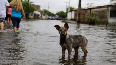 73B847B6 927A 4C4A BAF0 30D2C33C60E2