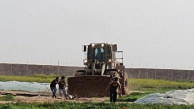 75D18DBC 22FD 4842 A8E9 D04299829C53