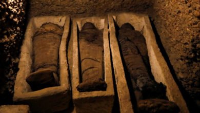 834E5061 98A3 44F8 AFA7 EE172F5BE78E