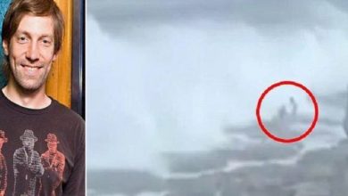 8B370D69 6BD3 47F6 AD5E 877E8FF48816