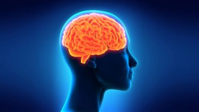 مكملات غذائية لحماية صحة الدماغ من التدهور 6 B25FB2F0 6FC0 436D 876C 0B8A611A6882