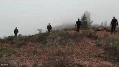 BFEFF367 04DF 4AEF A87B FC60A7496A2D