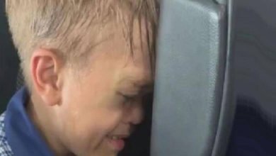 DCD89880 C48C 4A8F B6E9 E149C517A747