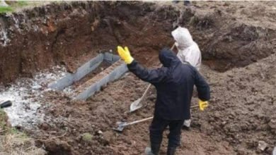 DE286707 18ED 44EB 9FB9 AAF18F467899