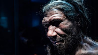 Neanderthal genes found for first time in African populations