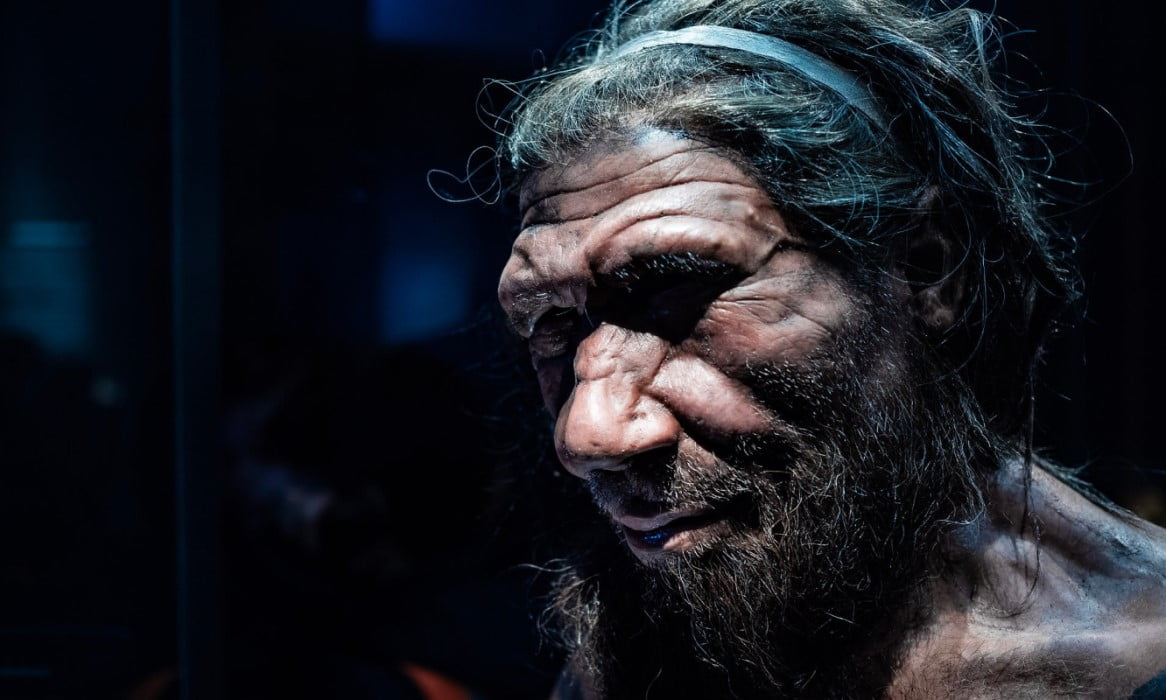 العثور على جينات إنسان نياندرتال لأول مرة في سكان أفريقيا 1 Neanderthal genes found for first time in African populations