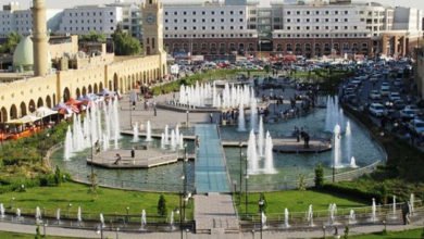 f1646e0eea63f89c80aae850e54453ef