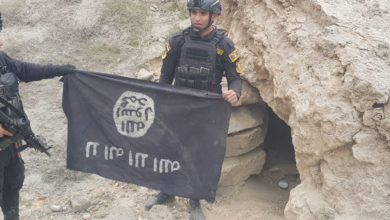 fe62bde28235fe30ff219b39c3af8a24