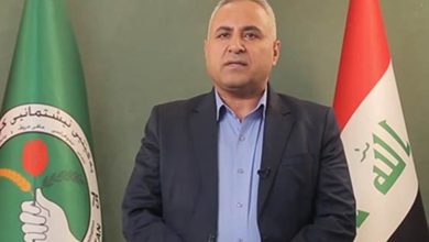 خارجية نيابية