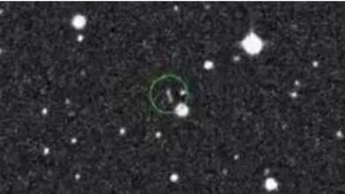 07B574BF 0CA7 4C51 9628 C06729DDA6AE