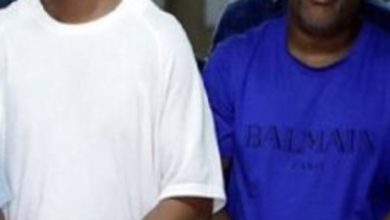 0AD9886E 15B9 4ED6 A6AB F81FD93A04DD