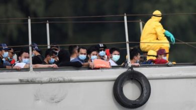 0FA7B80A 7DF2 4EA7 B353 8F274270DE27