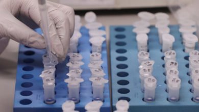 309CD687 E101 4924 B43C 4A89A36D1F5F