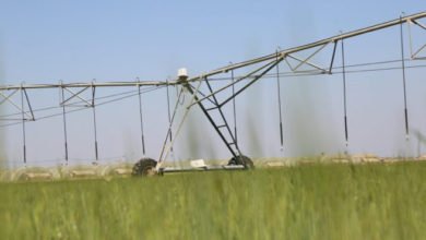 34DEA975 8960 48C4 B20C C037C8C1B4B8