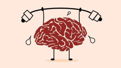 391F0594 C2D7 40F9 806C 4FAE3D8FA68D