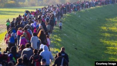 3C8A7033 2594 4E66 8E71 AAD34C1D97F3