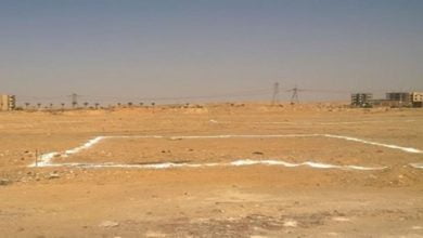 3FA33491 99E0 4F2B 865F 54C65CE20746