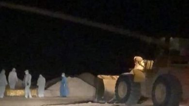 4C8235B1 8D9D 4DE1 BB25 1DB941B0A43B