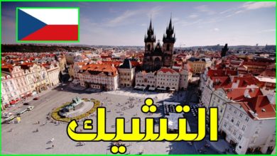 4FAF79EF 351E 42B2 9069 75661CE86726