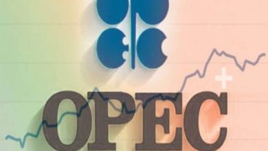 55AAC993 E6C6 45A3 A30E BAB9EEEE9C9E