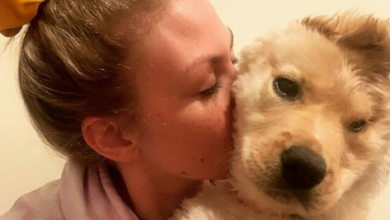 599355 الكلبة ومالكتها