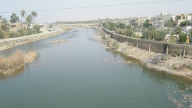 5AE065CA 6B0F 4AE3 A55A FC28C9A86B37