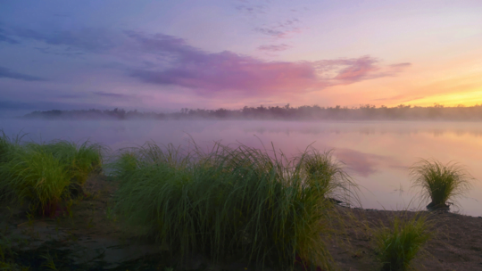 5e60be054c59b7386e6c187d